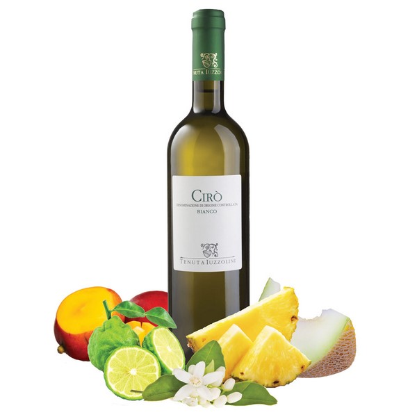 Cirò DOC Bianco