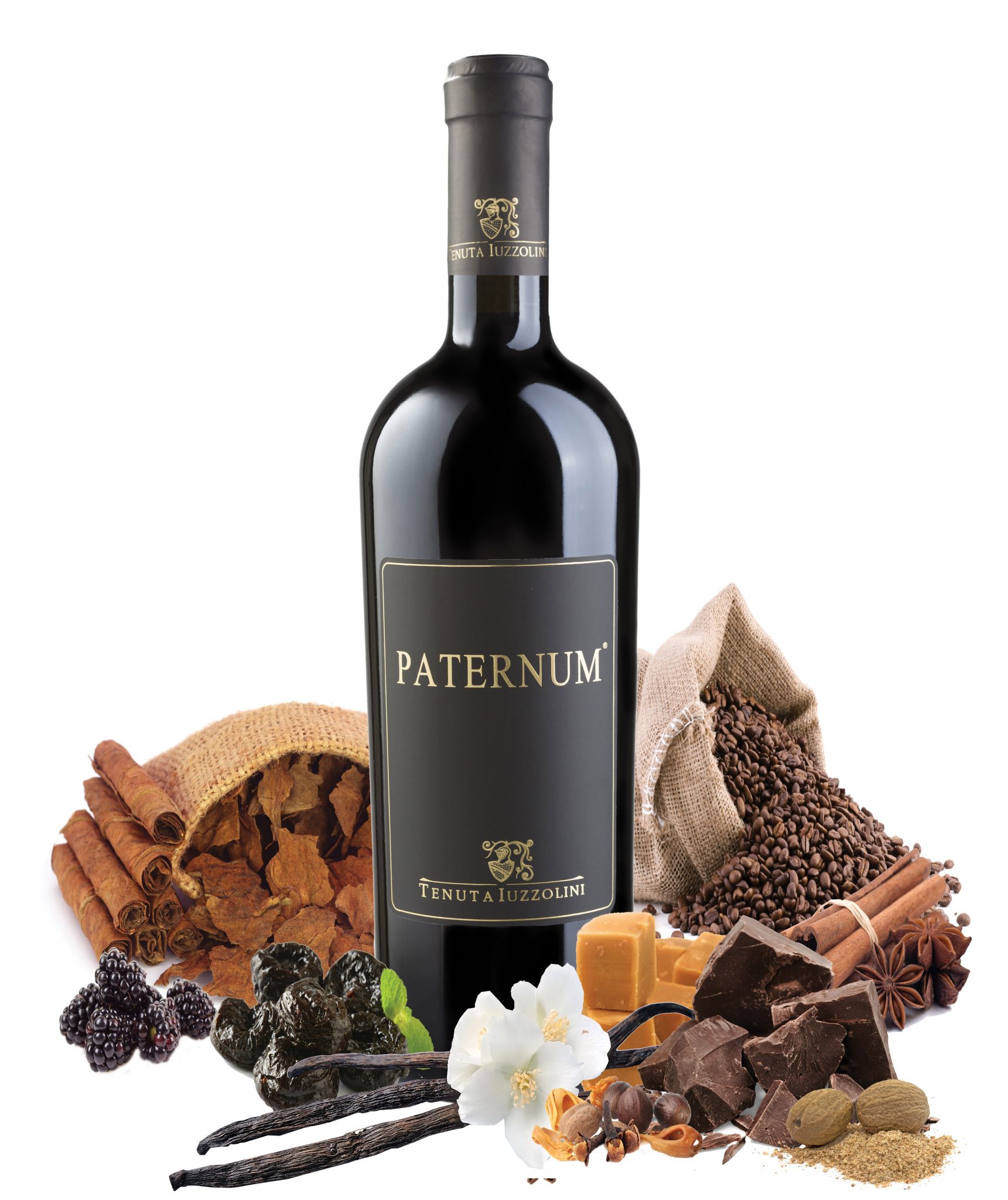 Paternum