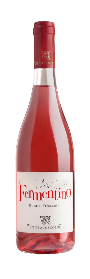 FERMENTINO ROSATO Tenuta Iuzzolini